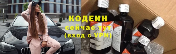прущие грибы Армянск