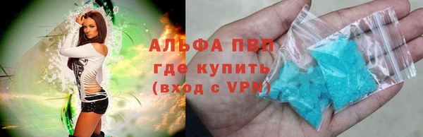 прущие грибы Армянск
