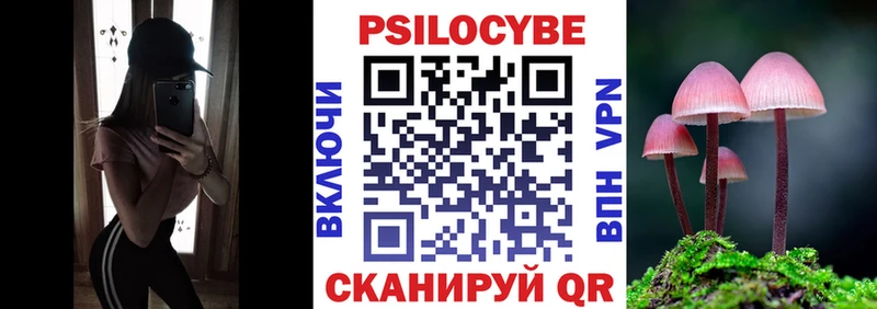 Псилоцибиновые грибы MAGIC MUSHROOMS  где можно купить   KRAKEN зеркало  Сосновка 