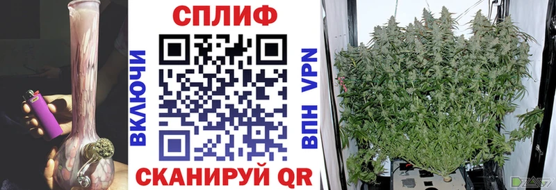 Конопля OG Kush  Сосновка 